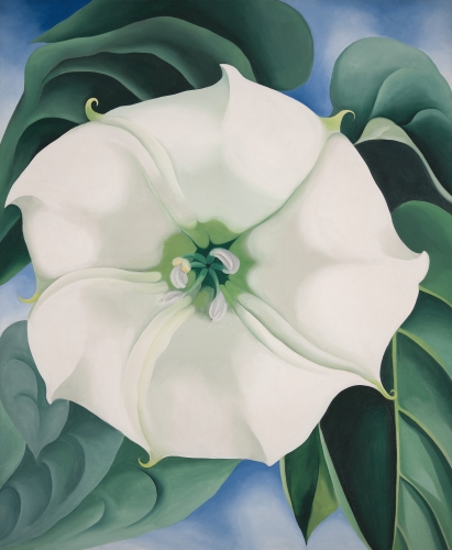 Georgia O'Keeffe Jimson Weed/White Flower No. 1, 1932 Oil on canvas 48 × 40 in. (121.9 × 101.6 cm) Framed: 53 in. × 44 3/4 in. × 2 1/2 in.