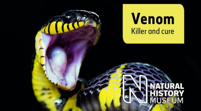 Venom – Killer and Cure